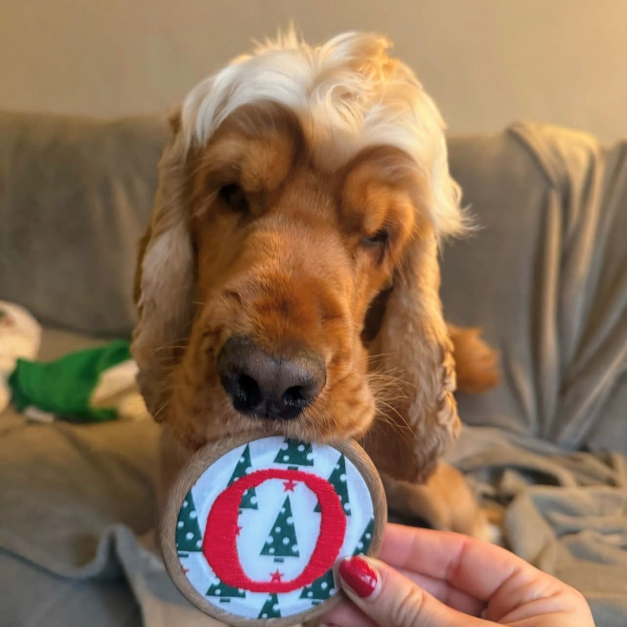 Personalised Christmas Hand Embroidery Hoop
